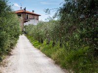Vakantie Italie 2014 - Le Marche  La Casetta : Agriturismo, Italië, La Casetta, Marche